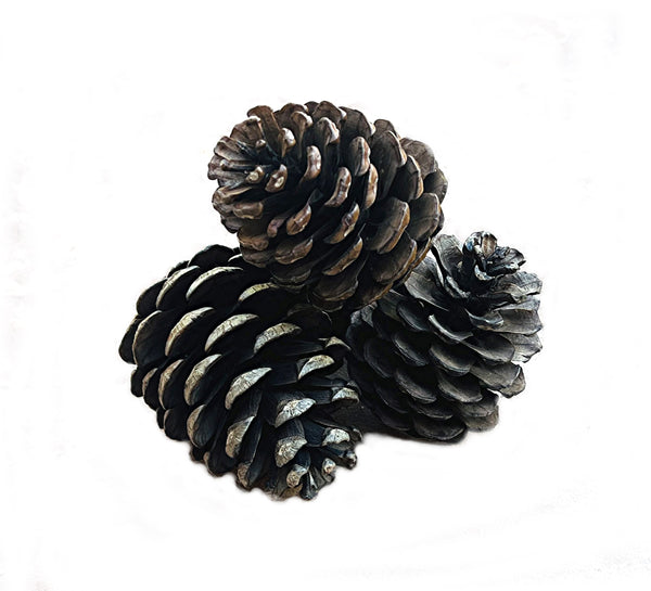 Candlemazing Pinecones, natural, scented and unscented