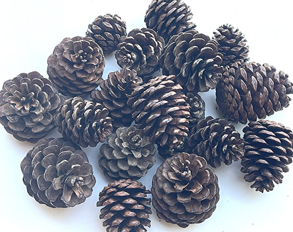Candlemazing Pinecones, natural, scented and unscented